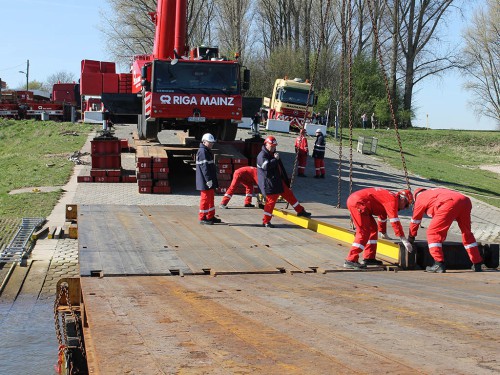 reaktiontransport_11.jpg